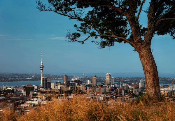 Monte Eden Auckland — Foto de Stock