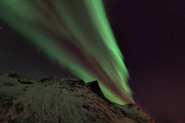 ロフォーテン諸島オーロラ オーロラ ノルウェー — ストック写真