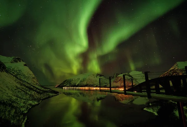 Lofoten Adaları Kuzey ışıkları Aurora Borealis Norveç — Stok fotoğraf