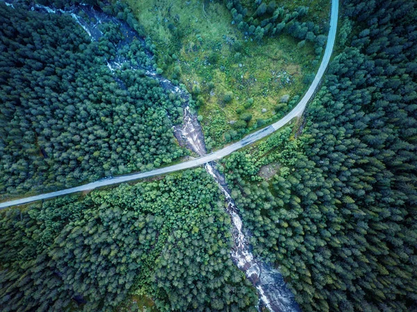ノルウェーの森 — ストック写真
