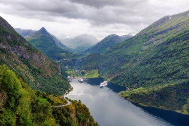 Ornesvingen-kartal Geiranger Norveç