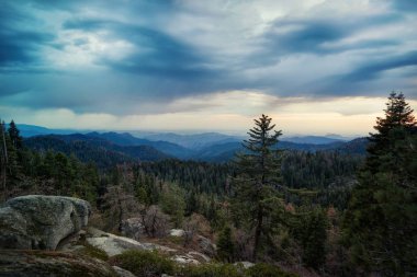 Sequoia Ulusal Parkı ABD