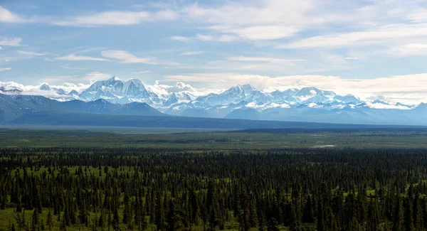 Alaska Denali National Park — Stock Photo, Image