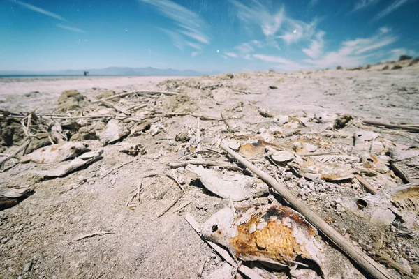 Salton sea bombay strand — Stockfoto