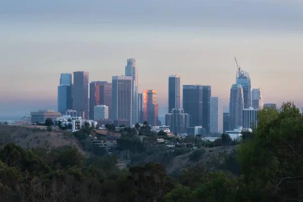 Los Angeles Skyline de Elysian Park — Fotografia de Stock