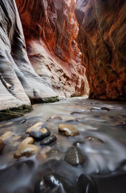 Narrows Zion National Park
