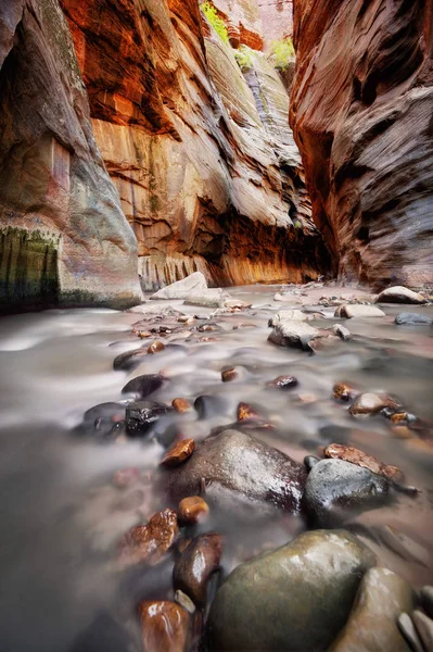 El Parque Nacional Narrows Zion — Foto de Stock