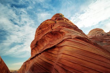 Dalga Utah