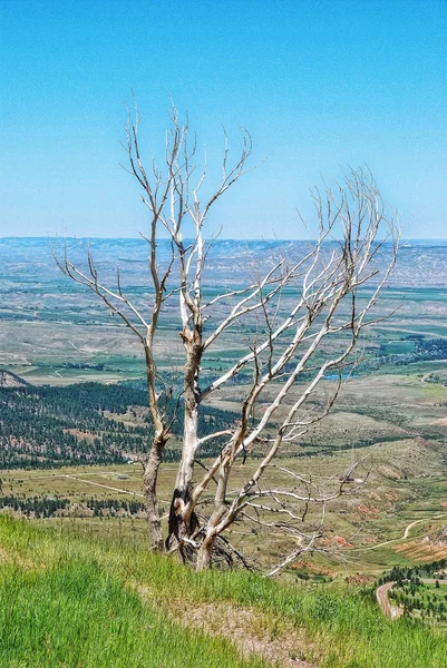 Rocky Mountains Usa — Stock fotografie