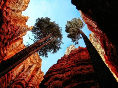 Bryce Kanyonu Ulusal Parkı