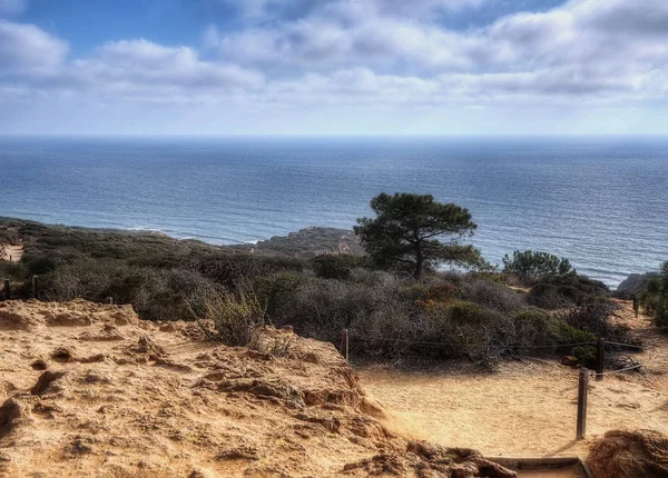 Torrey Pines State Park EUA — Fotografia de Stock