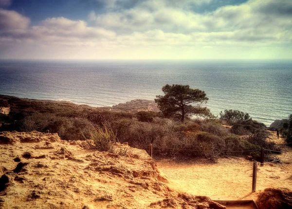 Torrey Pines State Park EUA — Fotografia de Stock