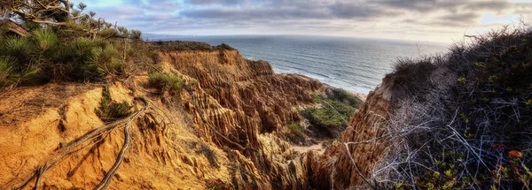 Torrey Pines State Park Stati Uniti — Foto Stock