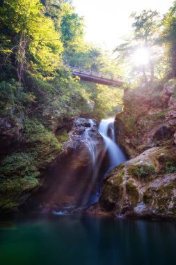 Vintgar Gorge Slovenya