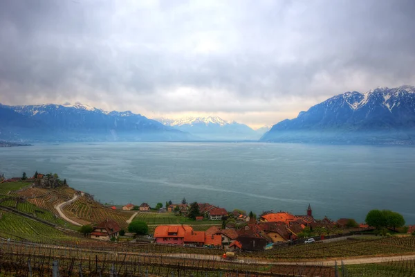 Lago de Genebra no inverno — Fotografia de Stock