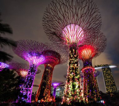 Singapur Körfezi Bahçeleri