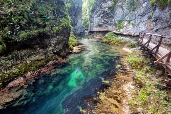 Vintgar Gorge Slovenia — Stock Photo, Image