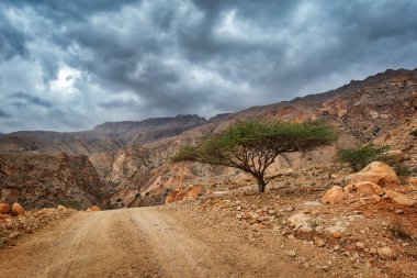 Al Hajar Dağları Umman