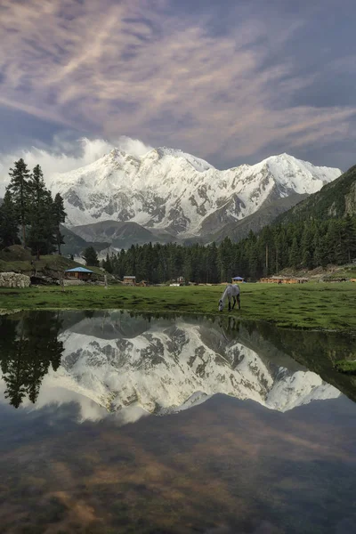 Αντανάκλαση Pond στο Fairy Meadows, Nanga Parbat, Πακιστάν, ta — Φωτογραφία Αρχείου