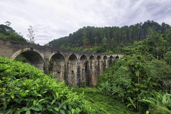 Sri Lanka, Elle 'deki Dokuz Kemer Köprüsü, Ağustos 2019' da çekildi.