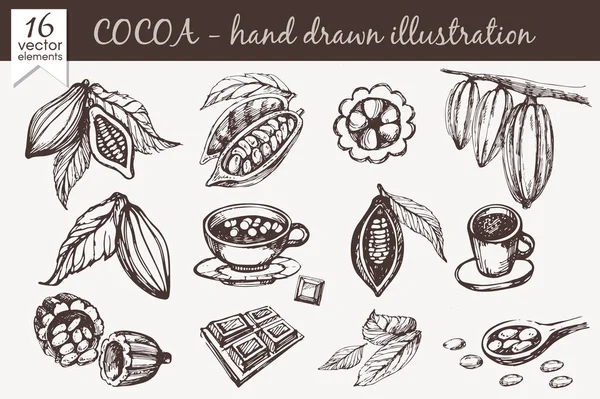 Cacao — Vector de stock