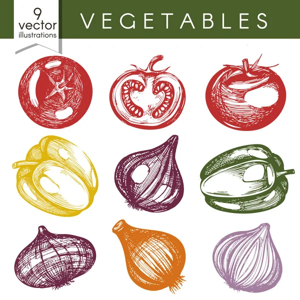 Conjunto de vectores con ilustración de verduras de color — Archivo Imágenes Vectoriales