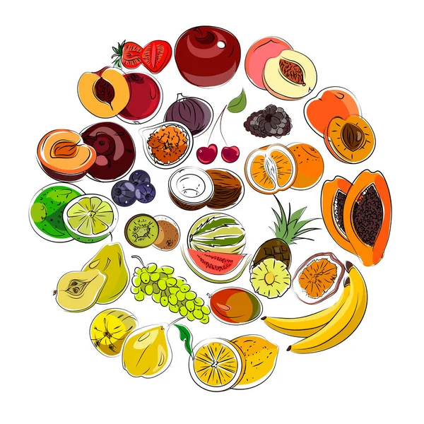 Farbige Früchte — Stockvektor