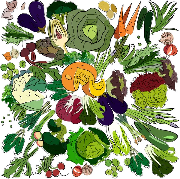 Σκίτσο πράσινα λαχανικά — Διανυσματικό Αρχείο