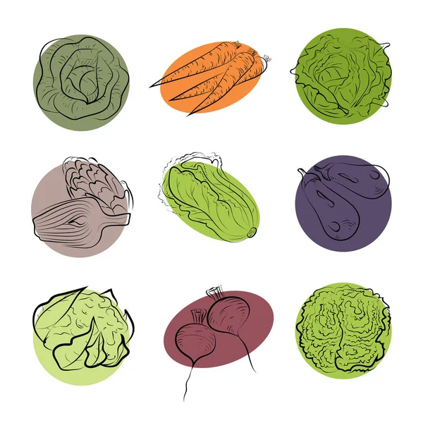 Πολύχρωμο σκίτσο λαχανικά — Διανυσματικό Αρχείο
