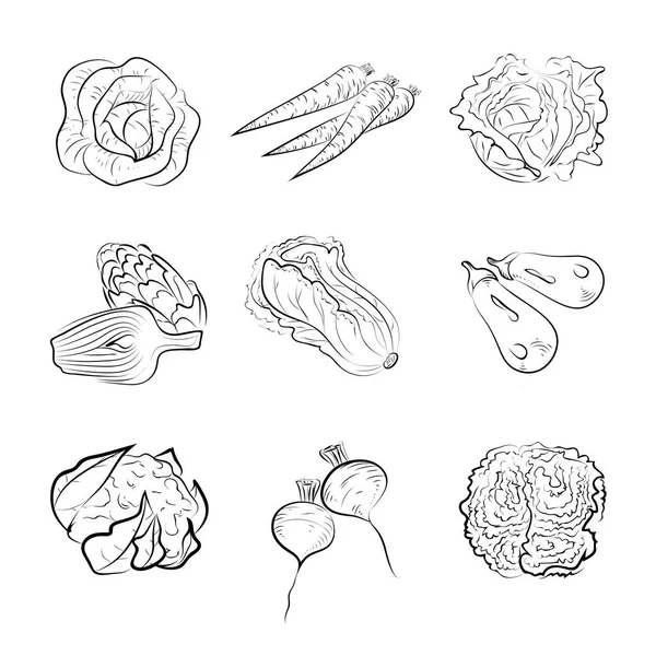 Gemüse skizzieren — Stockvektor