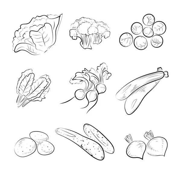 Σκίτσο λαχανικά — Διανυσματικό Αρχείο