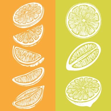 kireç illüstrasyon