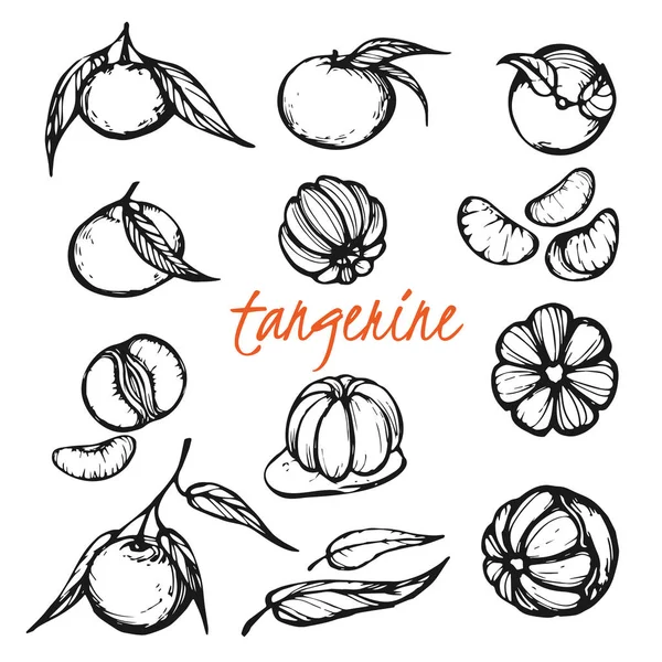 Tangerina — Vector de stock