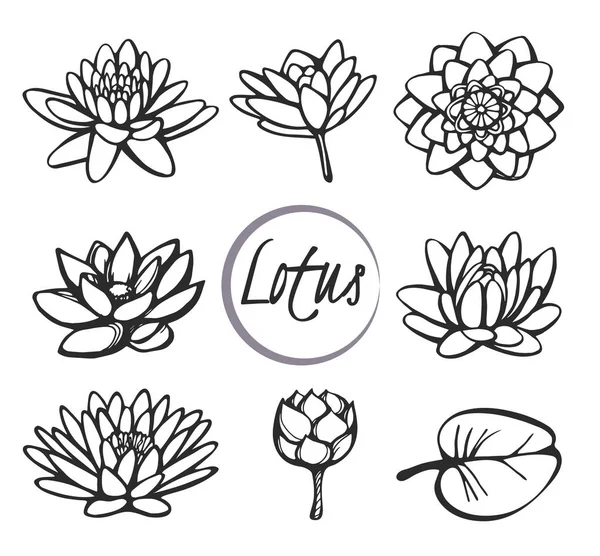 Lotus sketch icons — Stock Vector