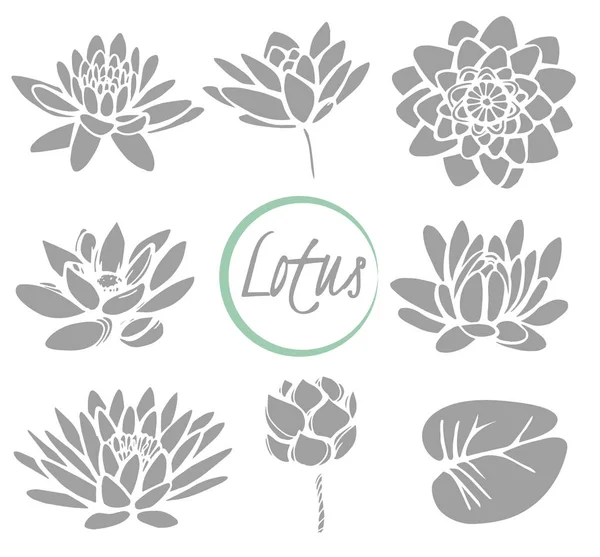 Lotus — Stock Vector