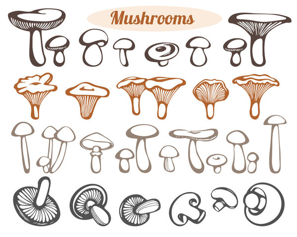 mushrooms