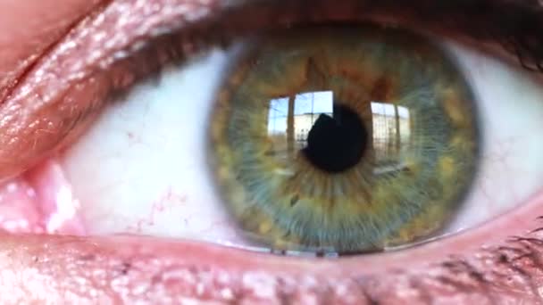 Menselijk groen oog iris samentrekken. Extreme close-up — Stockvideo