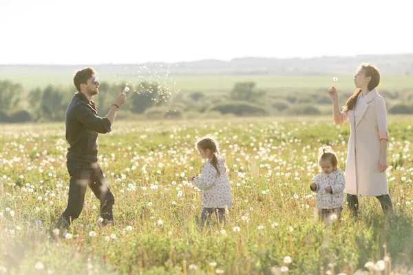 Щаслива сім'я гуляє в полі і грає з кульбабами — стокове фото