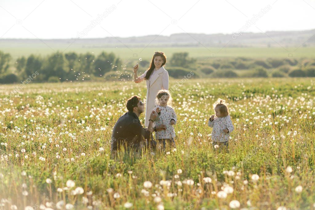  happy family walks in the field and play with dandelions