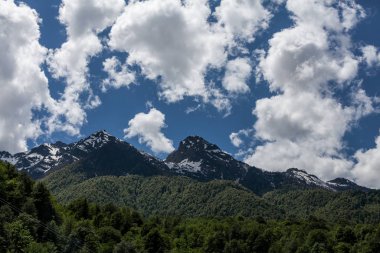 Mavi gökyüzü ve beyaz bulutlu yeşil dağ manzarasının inanılmaz bir resmi.