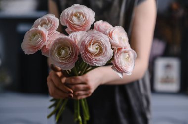 İranlı düğün çiçeği. Bir demet soluk pembe ranunculus çiçeği 