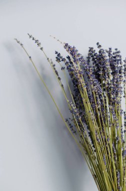  Gri arkaplanda kuru lavanta buketi var. Boşluğu kopyala 