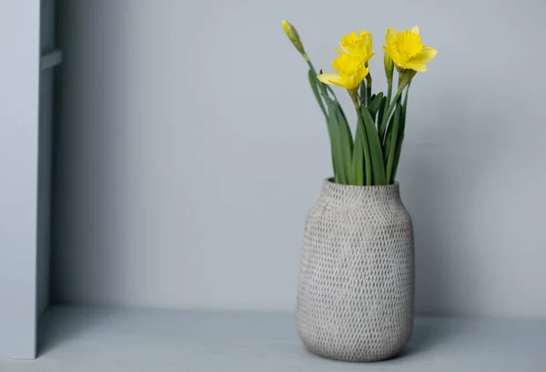 花束黄色水仙花在花瓶里，与灰色的背景和文字的空间隔离在一起 — 图库照片