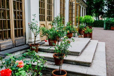 Çiçekli güzel bir bahçe. Güzel ev dış görünüşü..