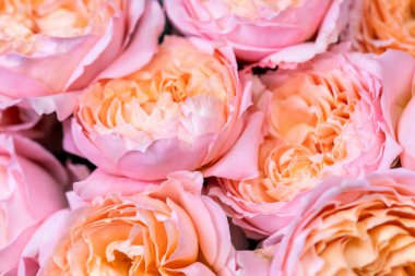 Yakın plan büyük güzel bir buket karışık çiçek. Çiçek arkaplanı ve duvar kağıdı. Çiçek dükkanı konsepti. Taze kesilmiş güzel bir buket. Çiçek teslimatı