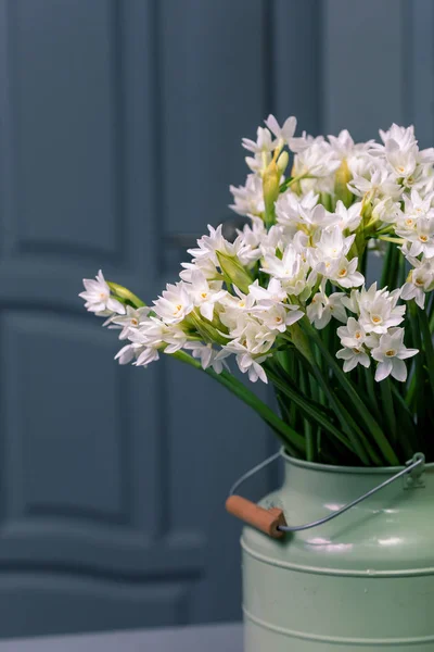 Buquê narciso branco flores e espaço para o seu texto. de perto — Fotografia de Stock