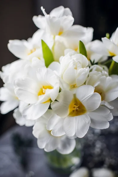 花瓶里有一束白色的郁金香.国际妇女日。春花 — 图库照片