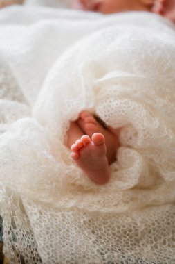 Yeni doğmuş bebek beyaz bir battaniyenin üzerinde - küçük bebek ayakları yakın plan. Yeni doğmuş tebrik kartı kavramı