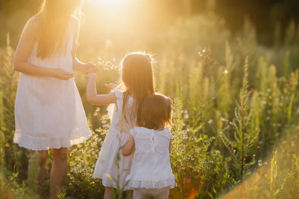 Rodina při procházce po přírodě během západu slunce. Dvě děti s mámou — Stock fotografie