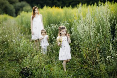 Çocuklu bir anne, iki kız çocuğu bir kır yolunda yürüyor, arka planda yaz otlağı günbatımı, arka plan